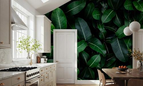 Chlorophyll