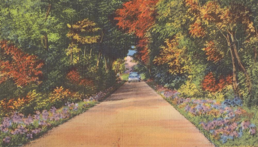 Colors Everywhere - Screenprint Postcard