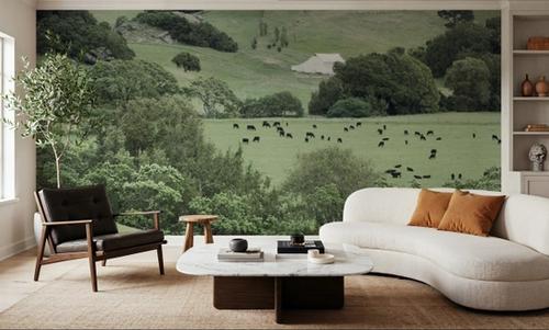 Marin County