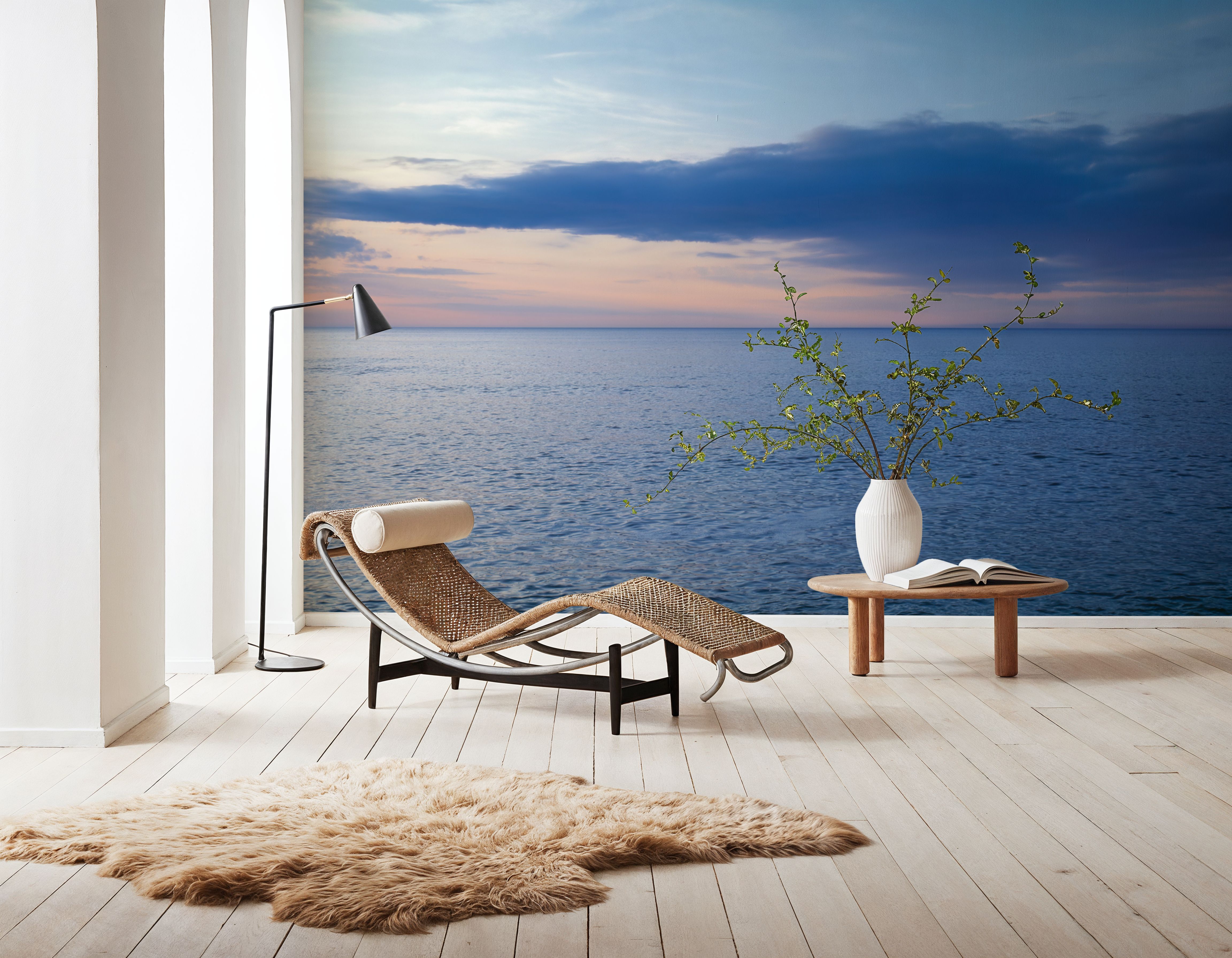 Tranquil Horizon Photo