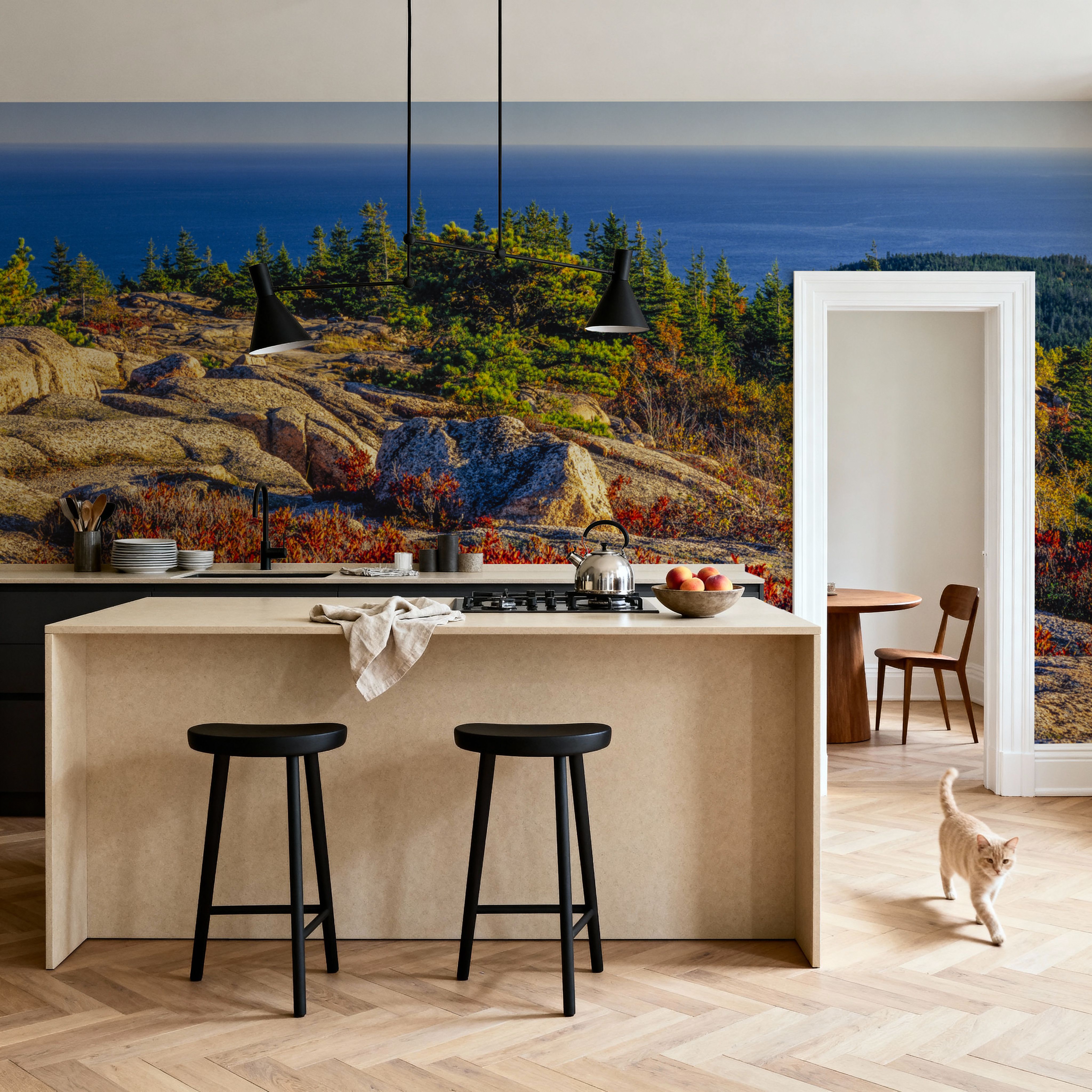 Acadia National Park