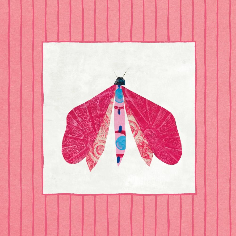 Collage Insects VI