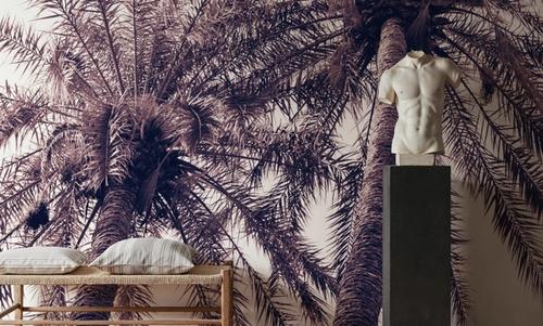 Pink Palms Horizontal