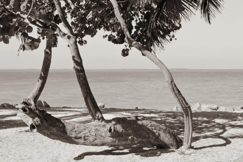 Fort Zachary Beach II BW