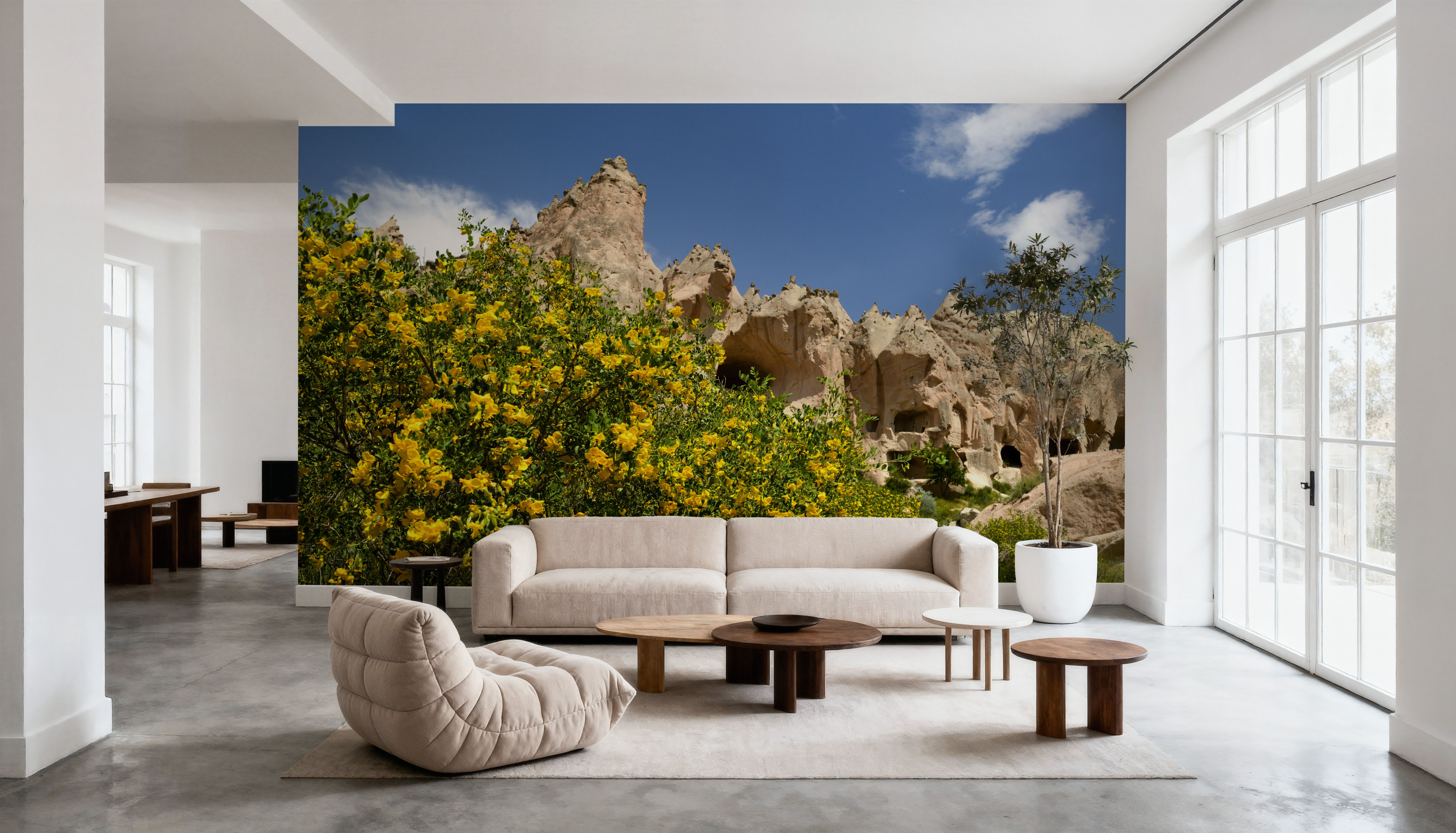 Desert Bloom