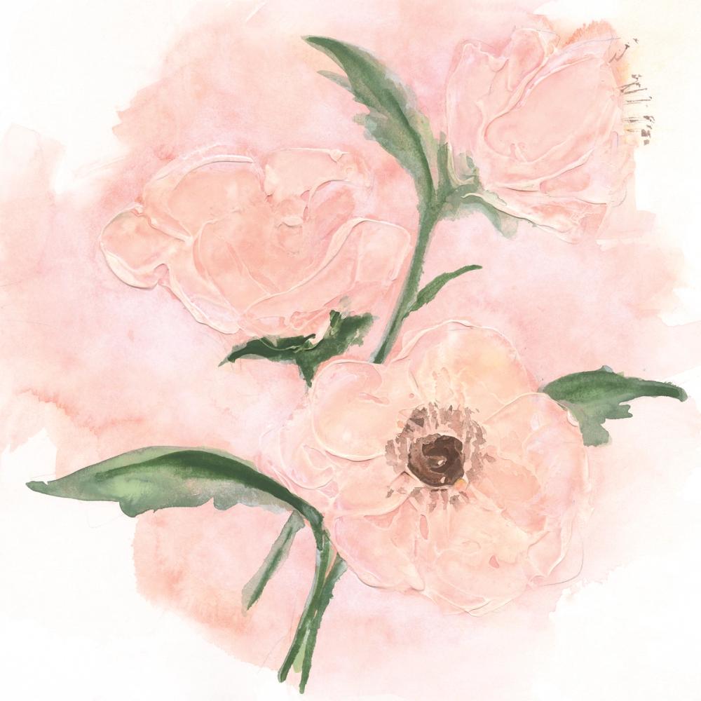 Dimensional Poppy II