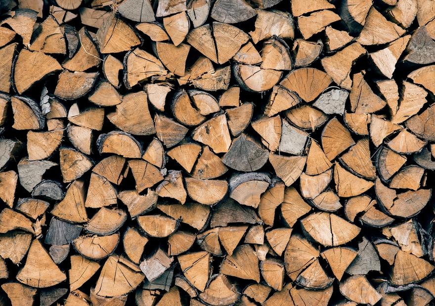 Firewood
