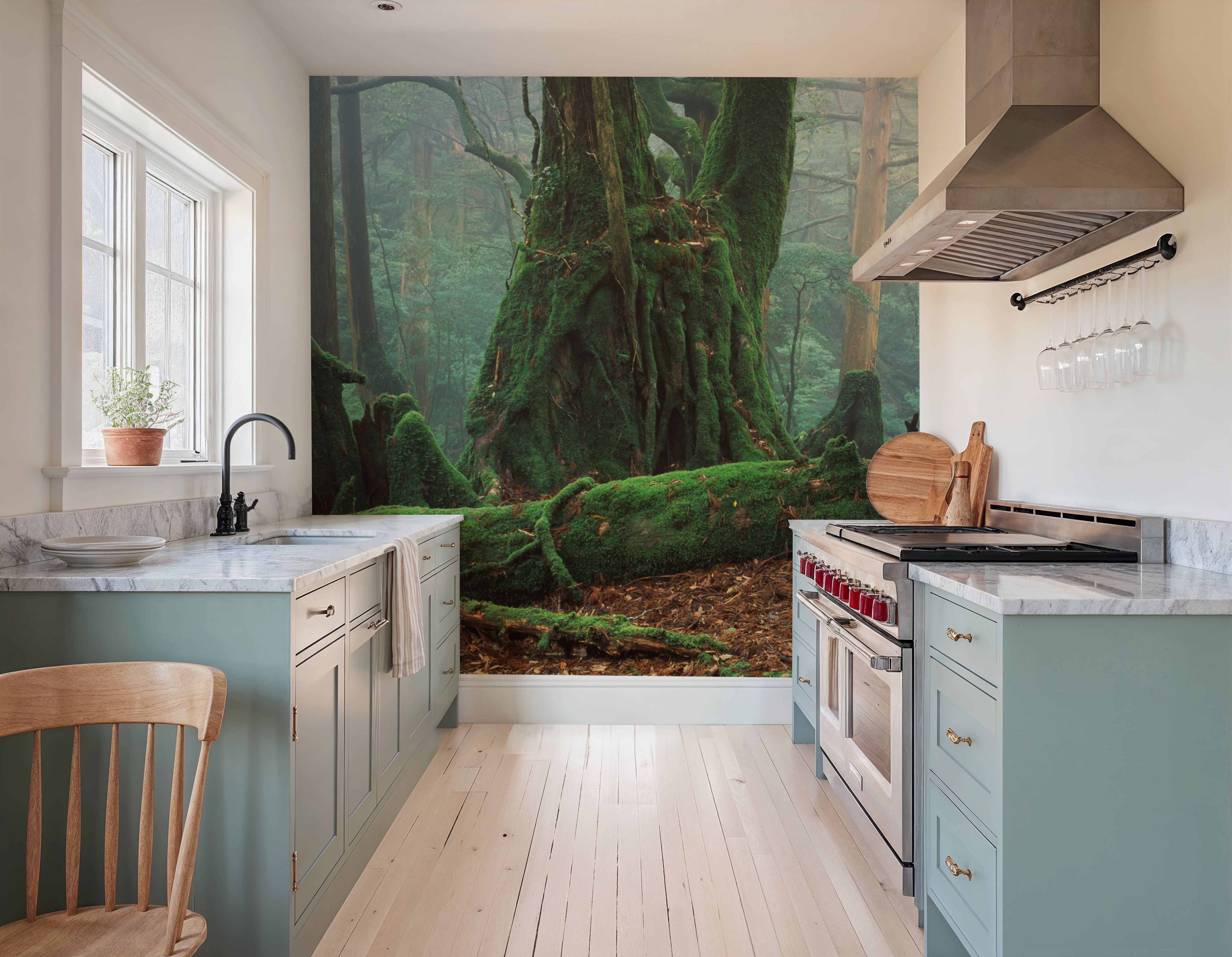 Yaku Rain Forest