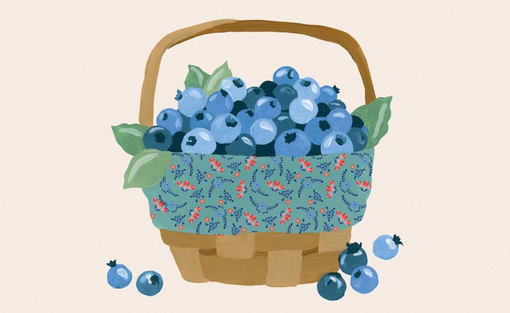 Baking with Blueberries I