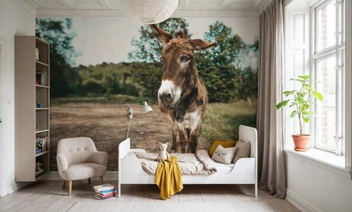 Donkey Tilt