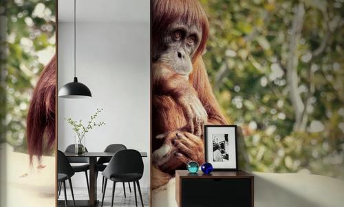 Orangulives