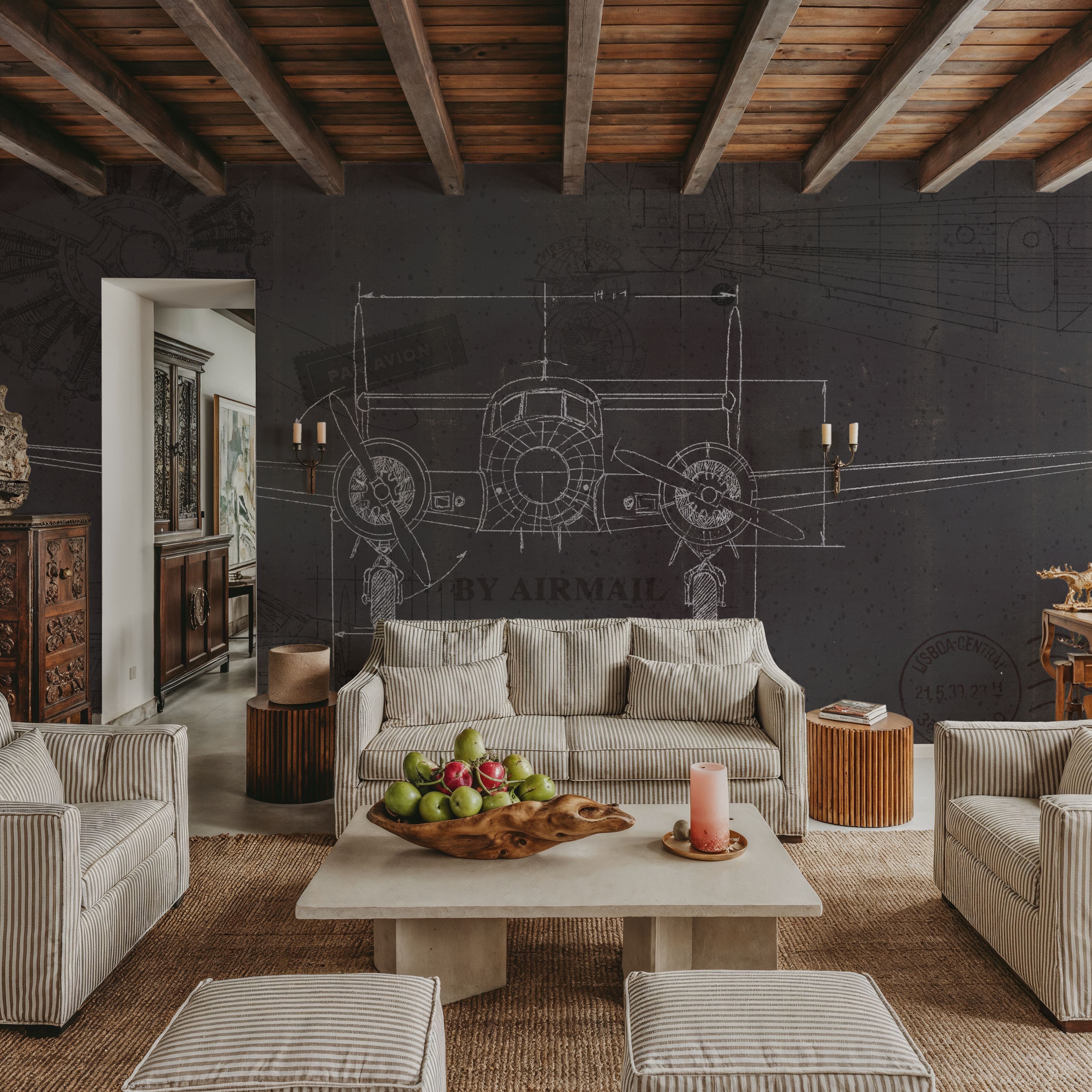 Plane Blueprint IV