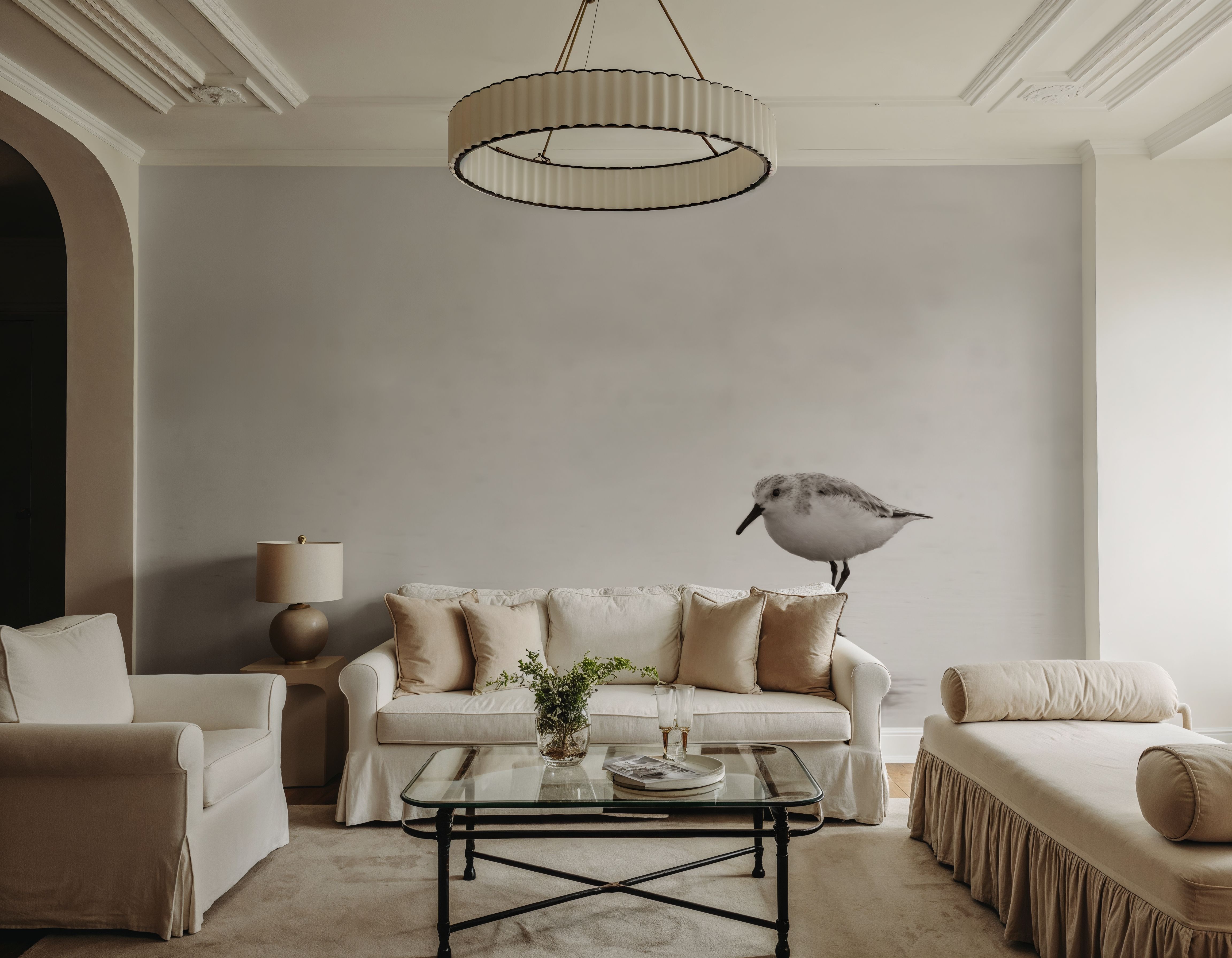 Tybee Island Sanderling