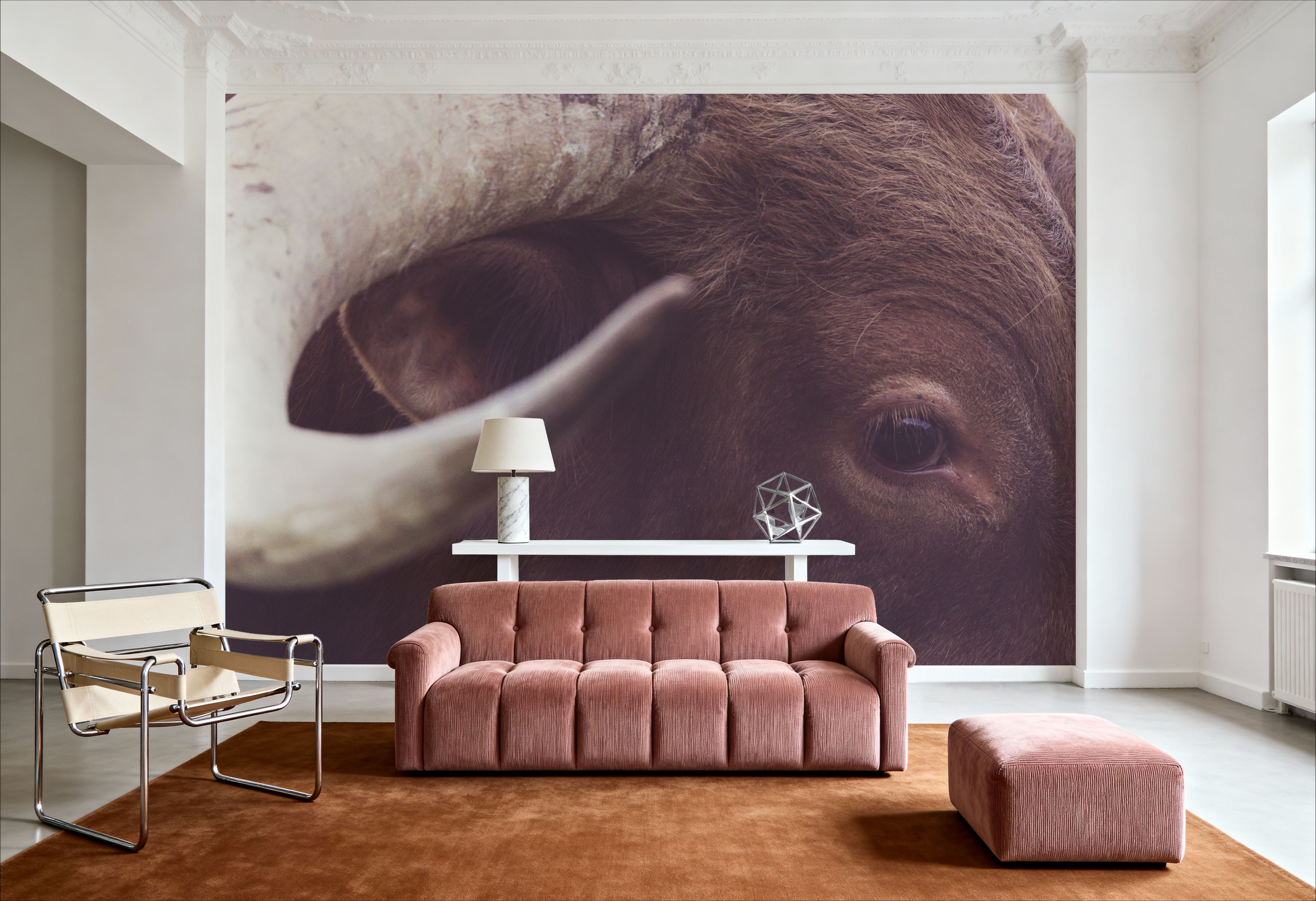 Longhorn Watch, Papier peint