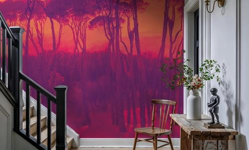 Mediterranean Pine Landscape, Sunset