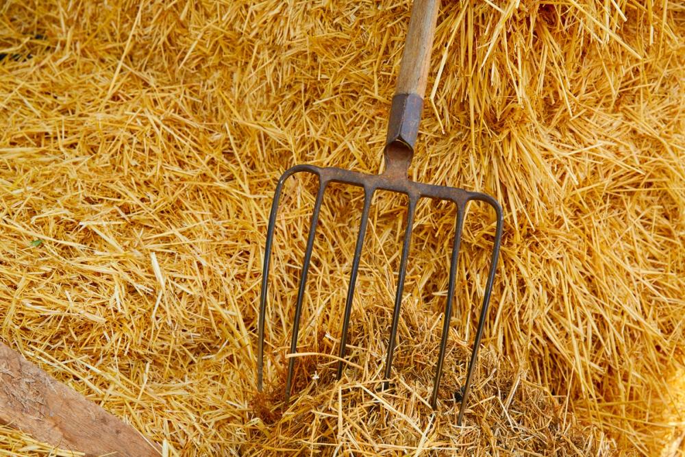 Harvest Pitchfork