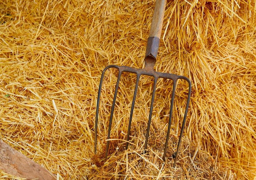 Harvest Pitchfork
