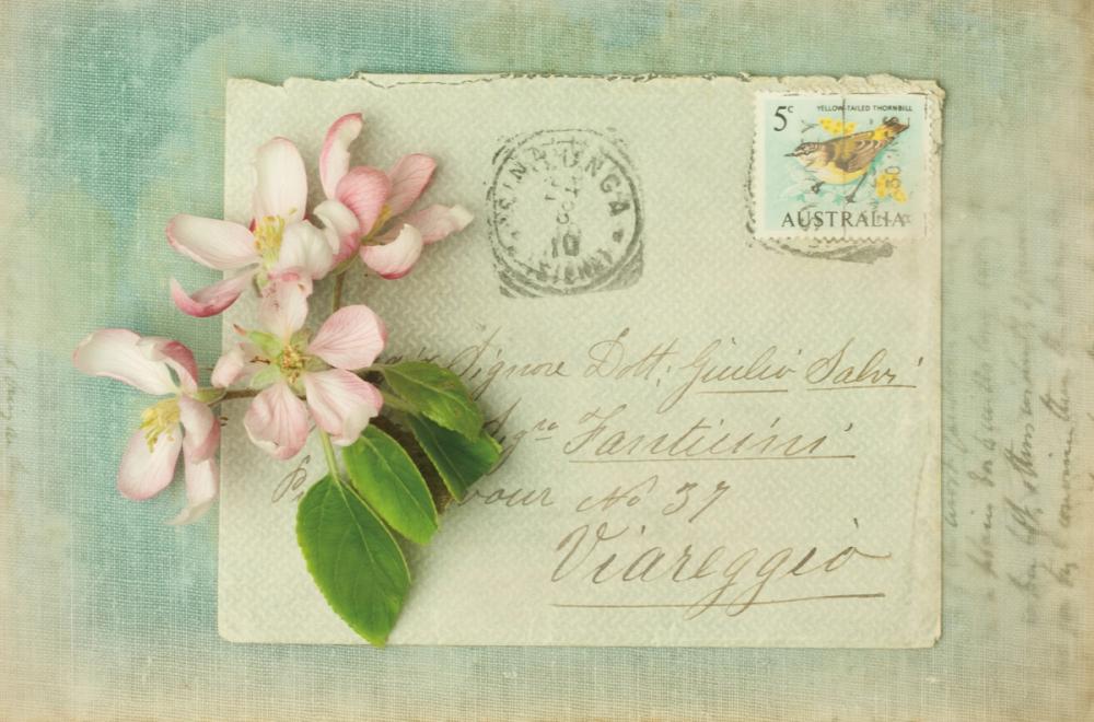 Poets Garden I