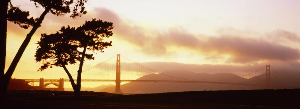 Golden Sunset Bridge