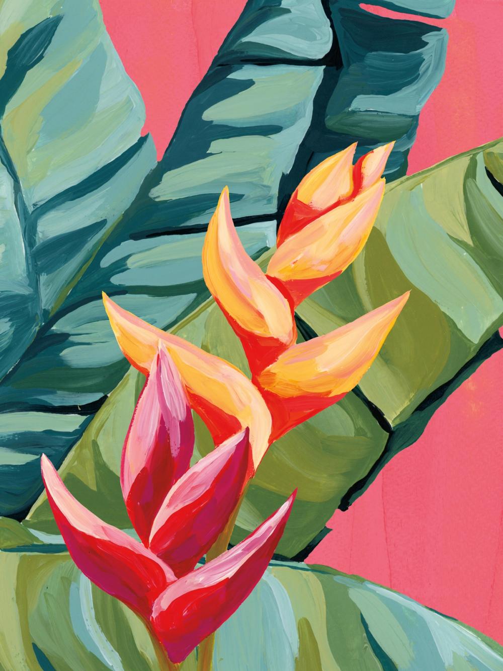 Island Botanica V