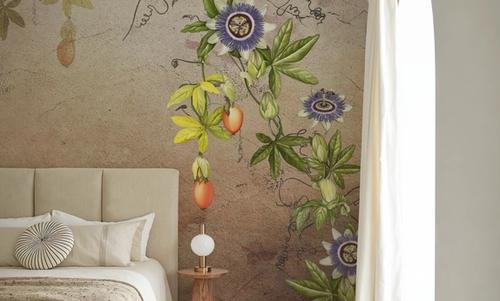 Passiflora Anthem