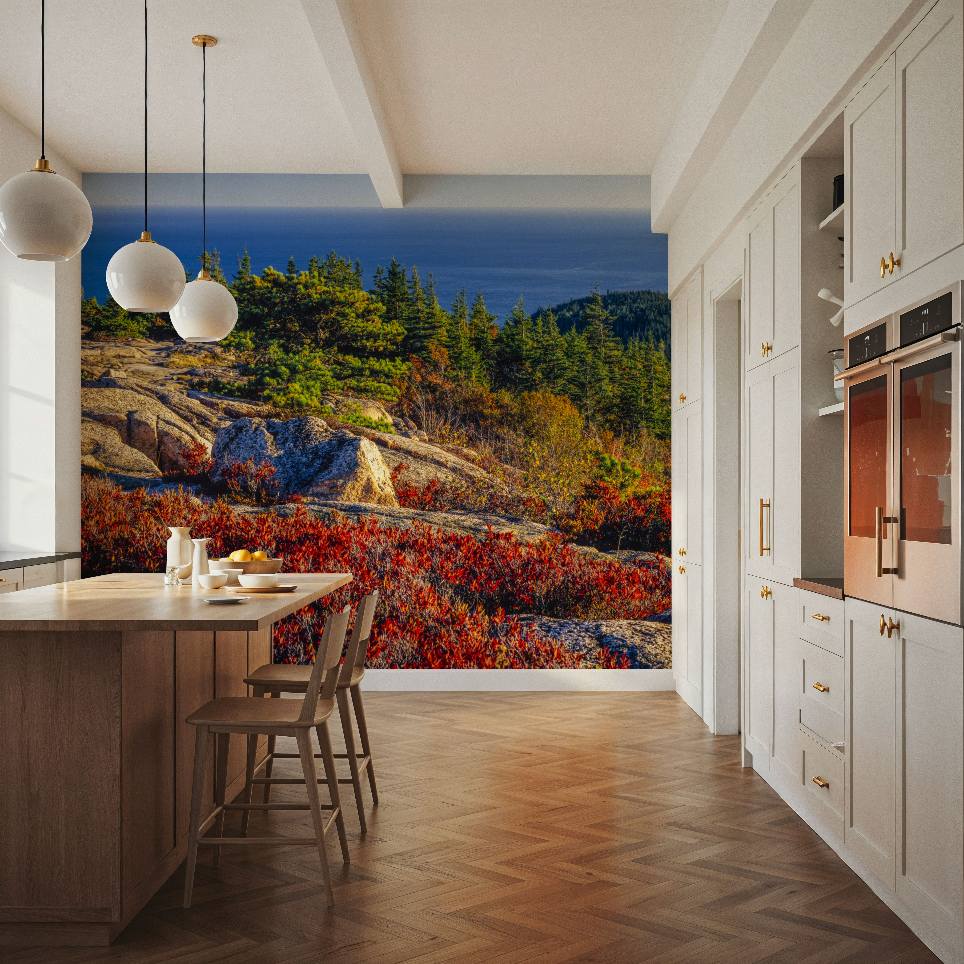 Acadia National Park