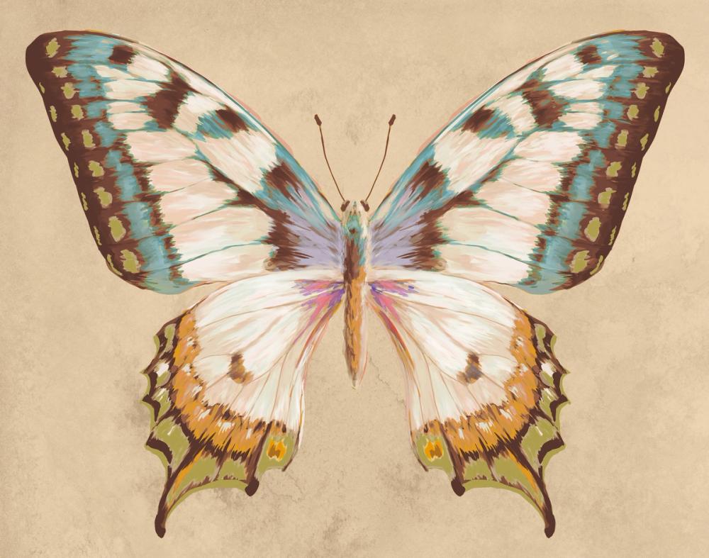 Beetles and Butterflies I