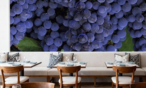 Grapes and Grapes
