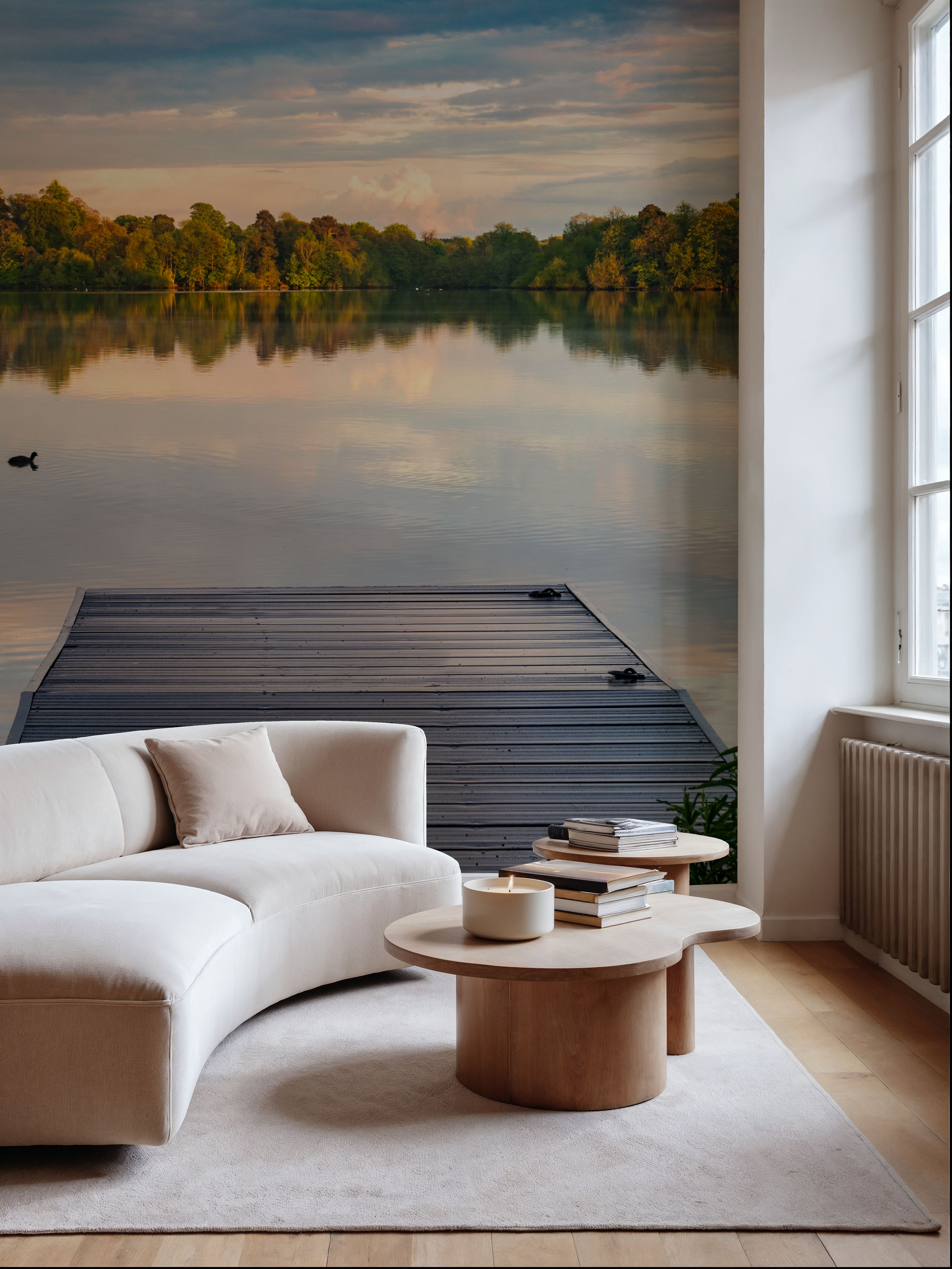 Lake Refelction