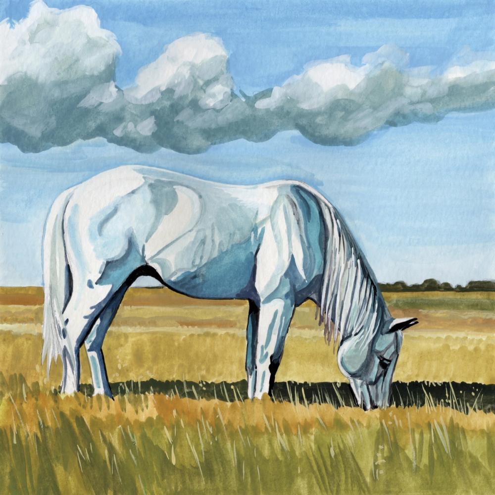 White Horse Grazing