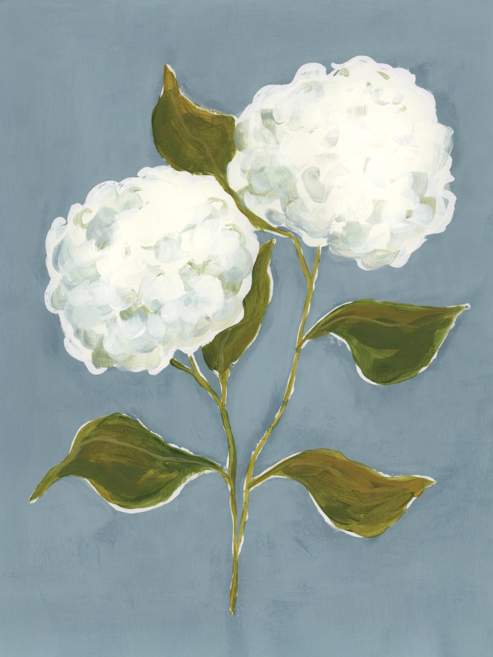 Dusty Blue Hydrangea I