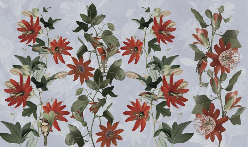 Contemporary Clematis 