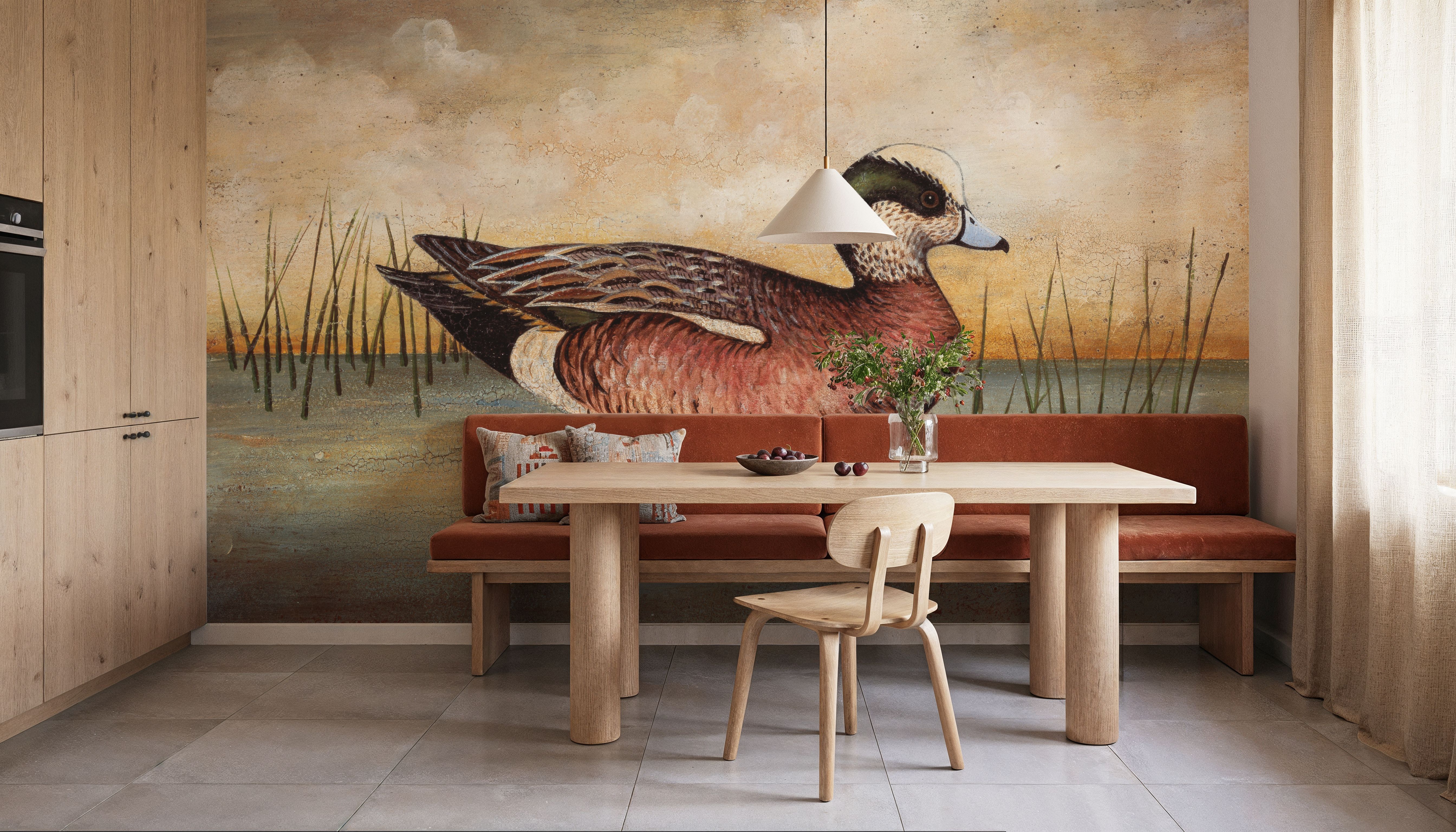 American Wigeon