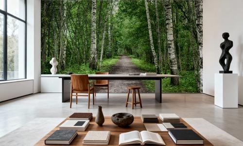 Dark Birch Forest