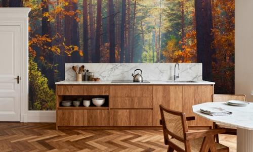 Autumn Forest Morning