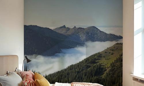 Hurricane Ridge Views