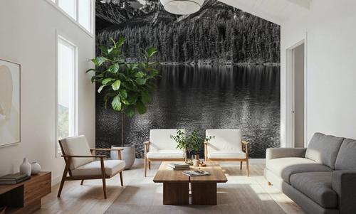 Lake Louise BW