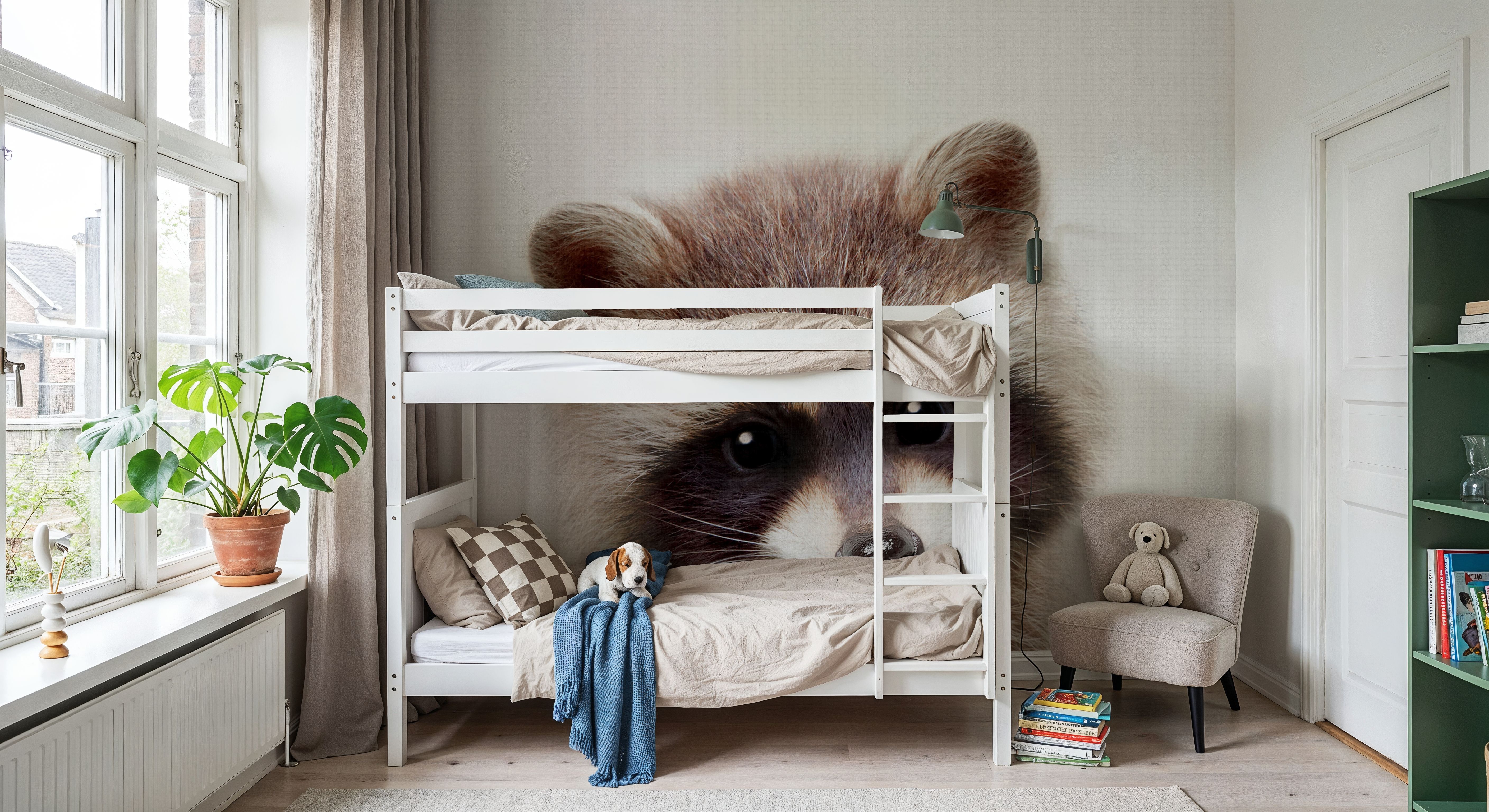 Peekaboo Raccoon, Tapet