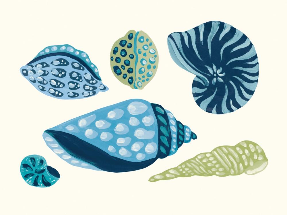 My Tropical Shell Collection I Blue