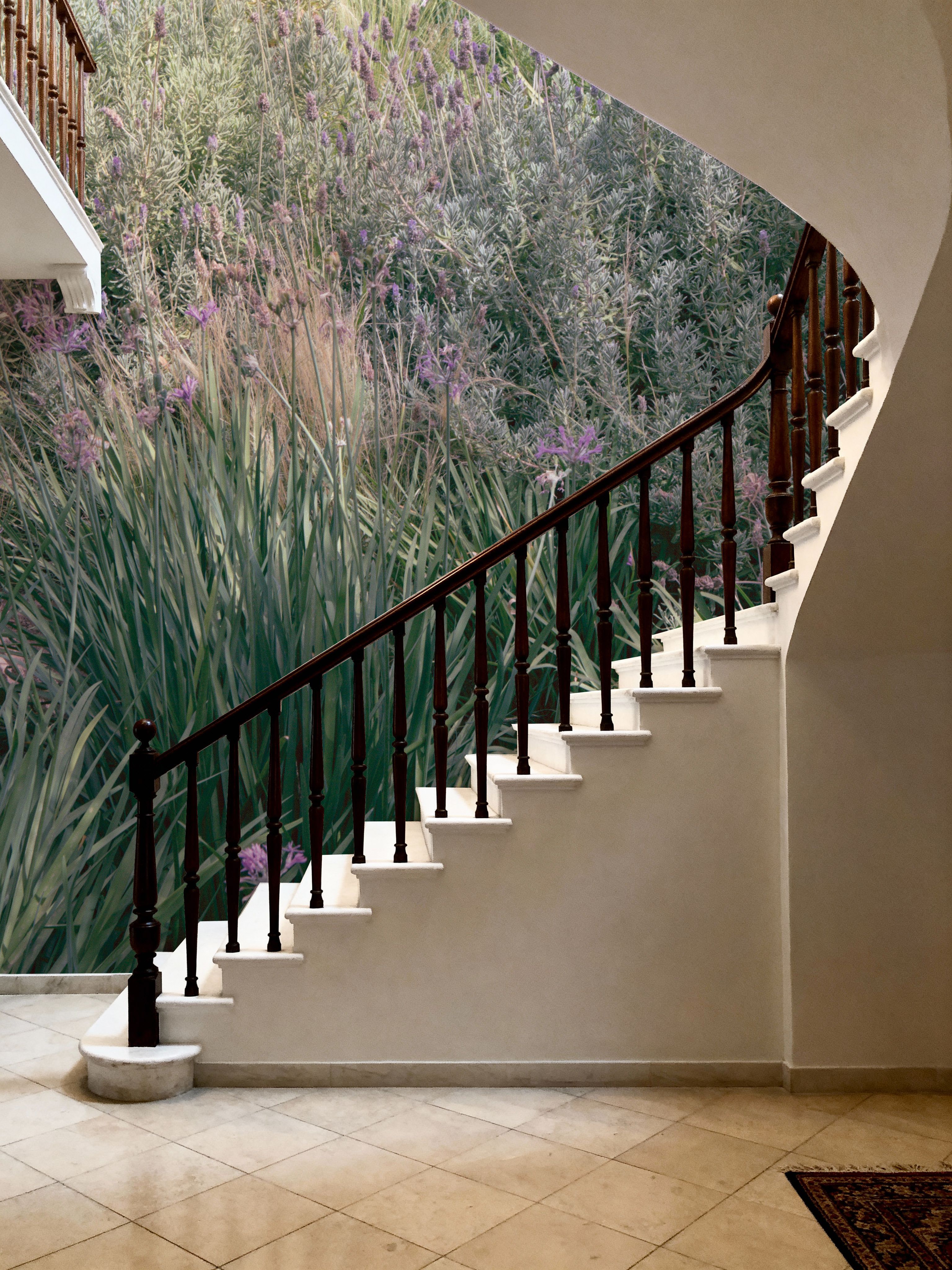 Secret Garden IX