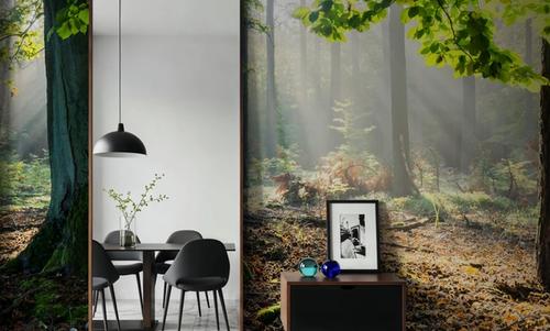 Mystical Forest Sunrays