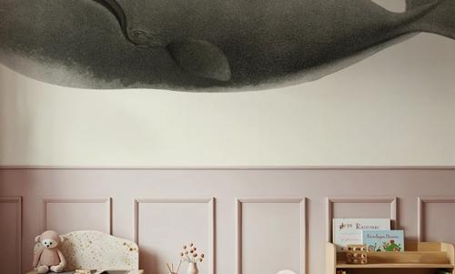 North Pacific Right Whale