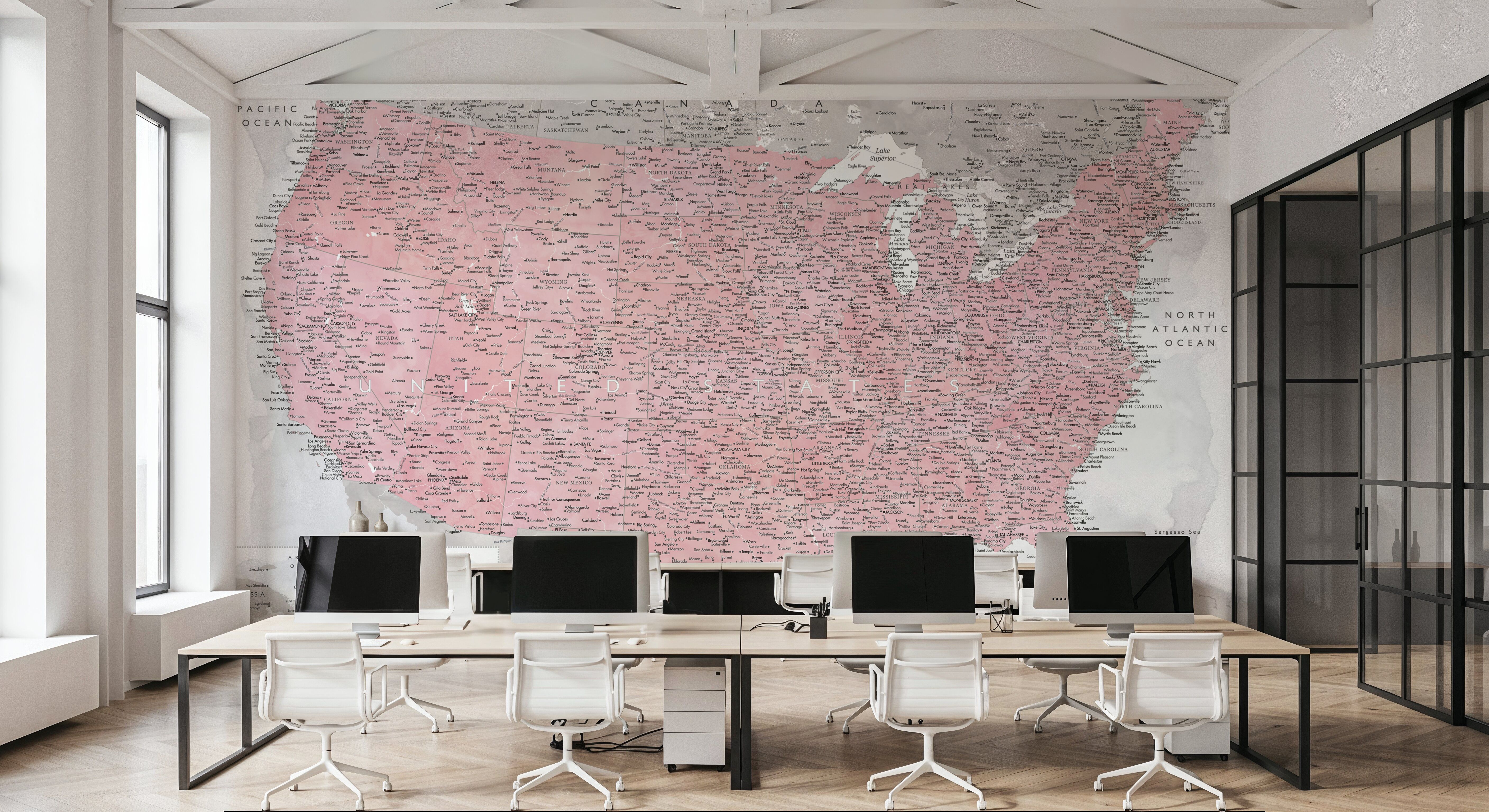 US Map Detailed - Gopi, Carte da parati