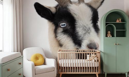 Pippa the Goat I