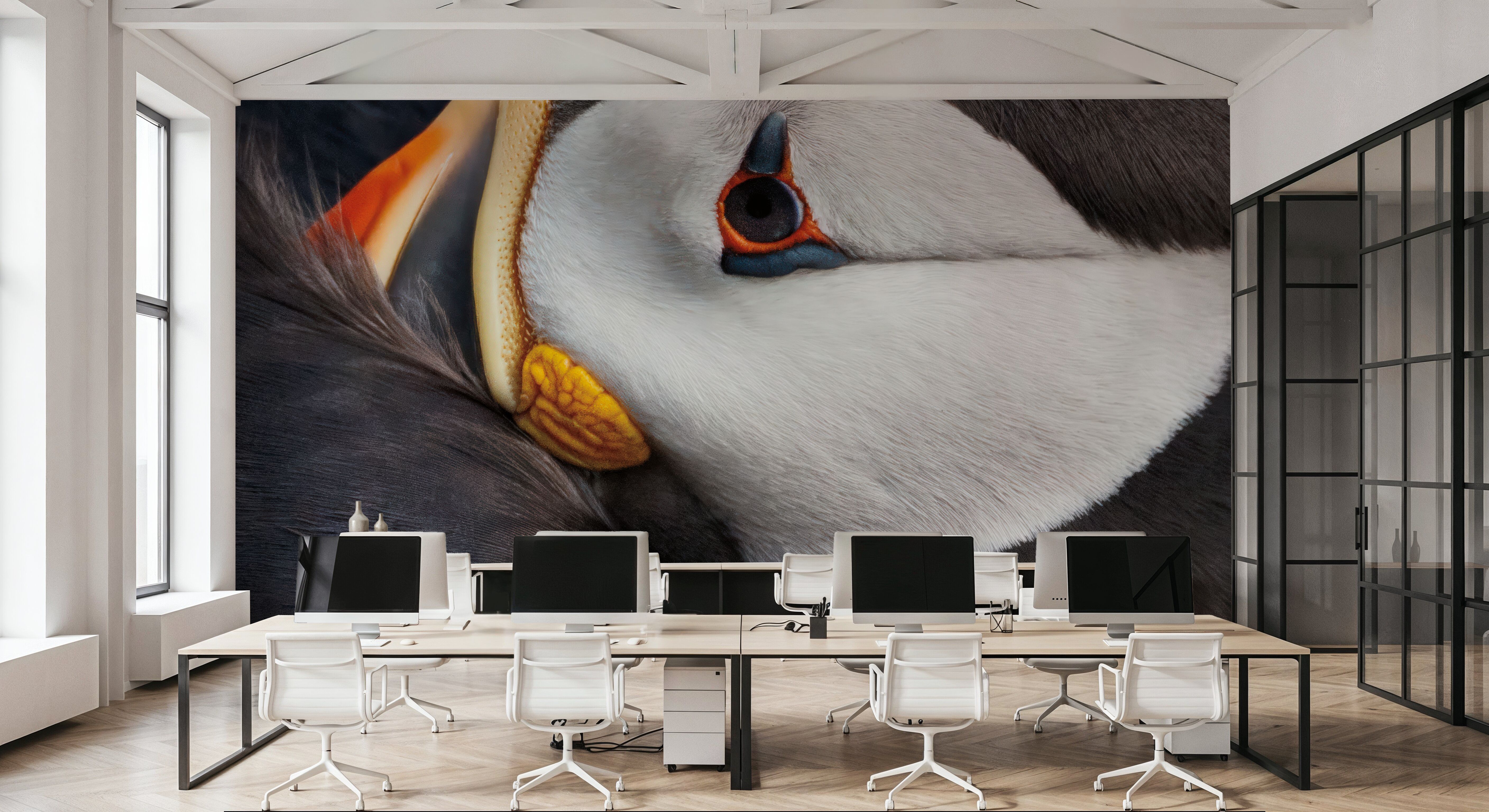 Atlantic Puffin Tucked