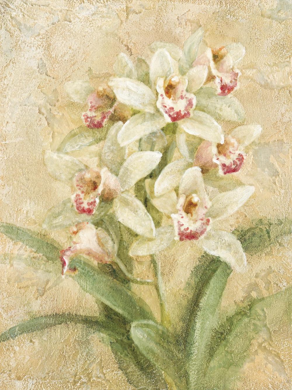Dreamy Orchids III