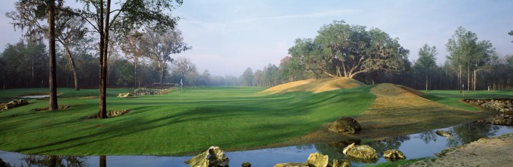 Misty Fairway Serenity