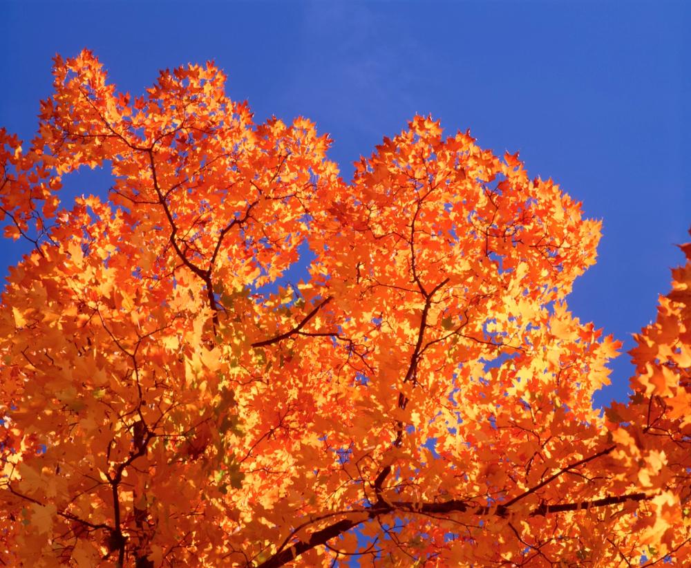 Letchworth State Park