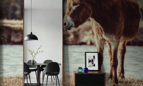 Donkey Summer I