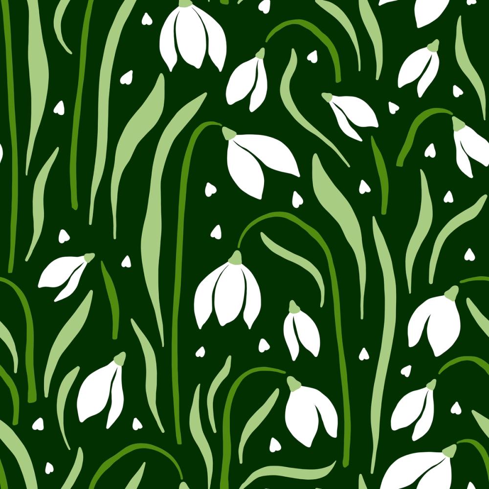 Snowdrops in Spring